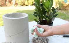 someone is holding something in their hand next to a potted plant on a table