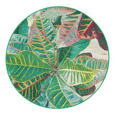 a close up of a green and red leafy plant on a white background in a circular frame