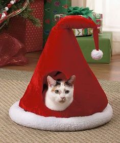 a cat is peeking out from behind a red cone on the floor in front of a christmas tree