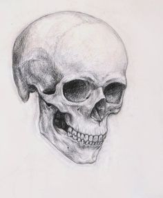 a drawing of a human skull with no lower jaw and one eye missing from it