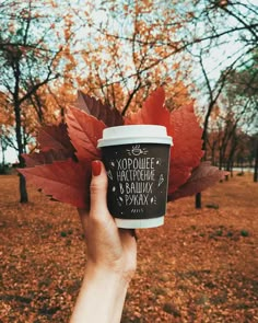 a person holding up a cup of coffee in the air with autumn leaves around them