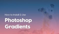 Photoshop Gradients, Sketching Skills, Illustrator Tutorials, Blog Marketing, The Challenge, Learn To Draw, Creative Market, Digital Painting, Improve Yourself