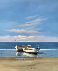 two boats on the beach with seagulls flying in the sky above them and water below