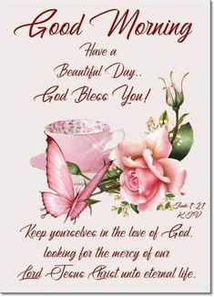 a pink rose and butterfly with the words good morning have a beautiful day god bebe you