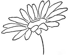 a black and white drawing of a flower