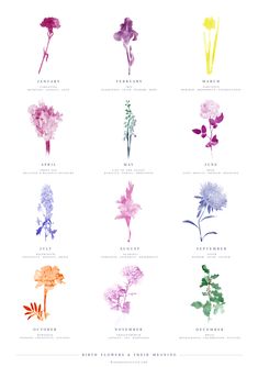 an image of flowers that are in different colors and sizes on a white background with the words