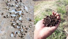 a person holding dirt in their hand next to a pile of dirt on the ground