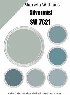 sherylin williams's new paint color swat list for sherylin williams's stardew sw9138