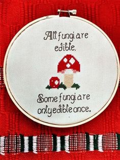 a red and white plaid table cloth with a cross stitch pattern on it that says, all fun are edible some fun are only available once