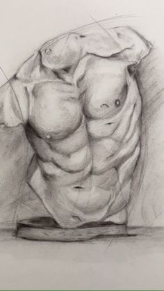 a drawing of a man's torso and arms