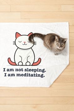 Meditating Cat - I am not sleeping. I am meditating white and orange cat Pet Blanket Pet Blanket, How To Clean Furniture, Cats And Dogs