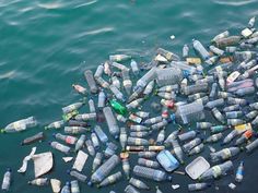 many plastic bottles are floating in the water