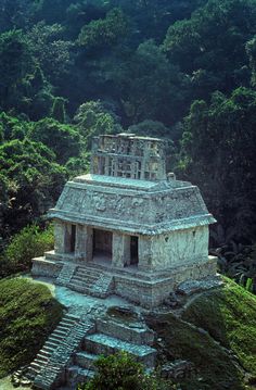 an ancient structure in the middle of a jungle with stairs leading up to it's entrance