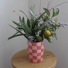 a potted plant sitting on top of a wooden table