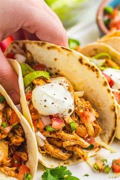 three shredded chicken tacos on a plate with sour cream in the middle and garnished with cilantro