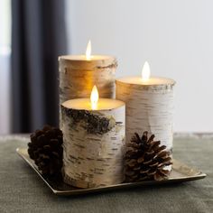 three lit candles sitting on top of a metal tray next to pine cones and branches