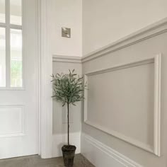 a potted plant sitting on top of a wooden floor next to a white wall