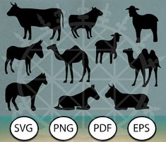 the silhouettes of farm animals are shown in different styles and sizes, along with their names