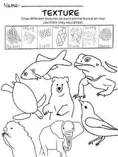 an animal coloring book with pictures of different animals