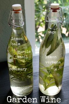 two glass bottles filled with water and herbs