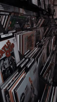 there are many records on the shelves in this room that is full of cds and dvds