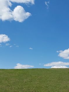 two people standing on top of a lush green field under a blue sky with white clouds