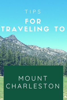 the mountains and trees are in the background with text overlay that reads tips for traveling to mount charleston