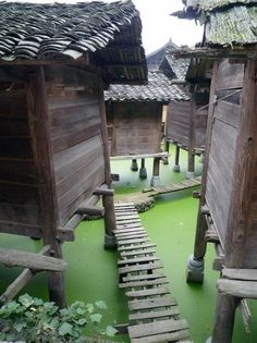 an old village with wooden buildings and stairs leading up to the roof tops that are covered in green algae