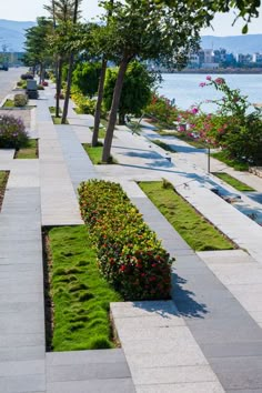 an empty sidewalk next to the water with trees and flowers growing on both sides,