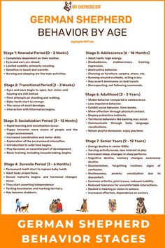 the german shepherd behavior by age poster is shown with information about how to use it