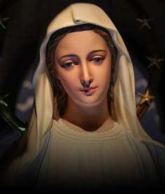 a statue of the virgin mary with stars around her neck and nose, in front of a black background