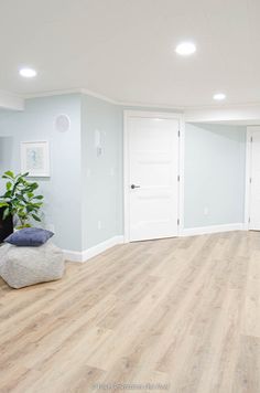 an empty room with light blue walls and wood flooring in the center is a plant