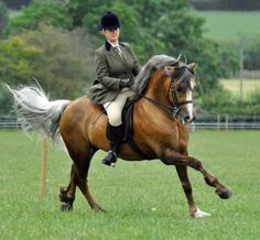 a woman riding on the back of a brown horse across a lush green grass covered field