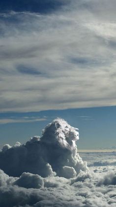 an animal head is in the middle of some clouds