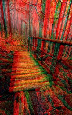 a wooden bridge in the middle of a forest filled with red, green and yellow trees