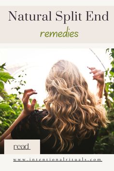 10 natural remedies for split ends at home can help strengthen and repair your hair, leading to more resilient, smooth, and shiny locks. Split Ends Remedies, Yoghurt Mask, Split End Remedy, Scalp Mask, Fresh Aloe Vera Gel