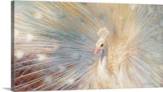 a painting of a white peacock with feathers spread out