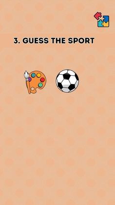 an orange book cover with two soccer balls and a paintbrush on it, which reads 3 guess the sport