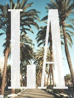 palm trees with the word la in front of them