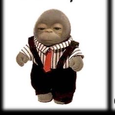 an image of a monkey dressed up in business attire with the caption, i'm sorry