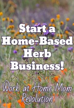 a field full of flowers with the words start a home - based herb business work at home mom revolution