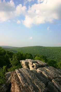 a rocky cliff with trees and blue sky in the background