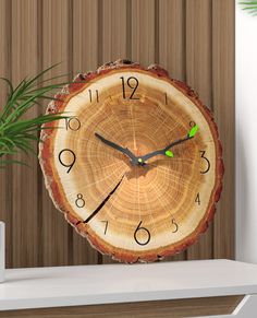 a clock that is on the side of a wall next to a potted plant