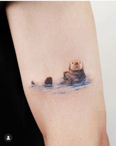 a small otter tattoo on the right side of the arm, with two baby otters swimming in the water