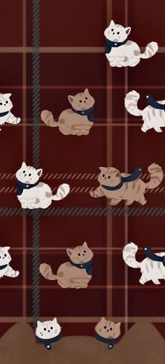 several images of cats playing with each other on a plaid wallpapered surface,