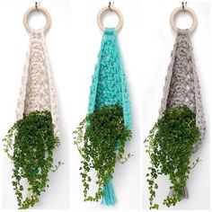 three different pictures of plants hanging from hooks