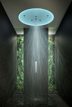 an image of a shower head in the middle of a room with plants on either side