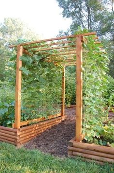 an outdoor garden with lots of plants growing in the ground and wooden trelliss