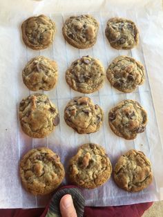 a person holding a tray with twelve chocolate chip cookies on top of parchment paper,