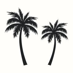 two palm trees on a white background